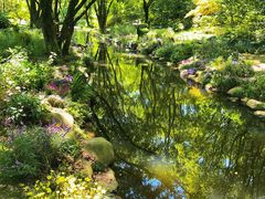 -上海共青森林公园