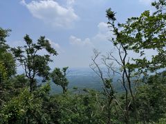 -紫金山山顶公园