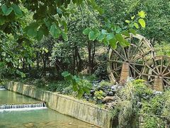 -广州白江湖森林公园