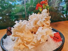 绣球菌-打酱友•斑鱼海鲜粥火锅(吴桥店)