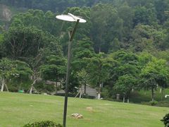 -火炉山森林公园