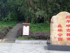 -羚羊峡古栈道森林公园
