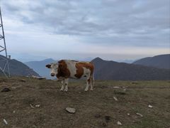-蔚县茶山村