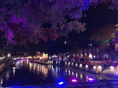 -马六甲鸡场街