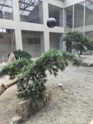 -CD视觉婚纱摄影