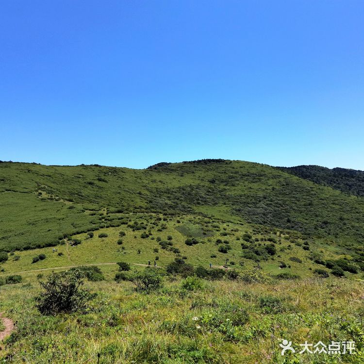 秦岭七十二峪｜分水岭高山草甸