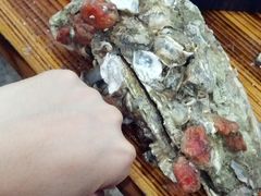 -蚝专家(北滘店)