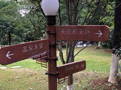 -英德宝晶宫天鹅湖茶语温泉