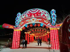 -沈阳奥体冰雪嘉年华