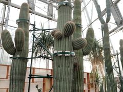 -北京植物园-展览温室