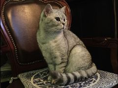 -不舍昼夜咖啡馆