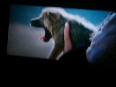 android_upload_pic-横店电影城(李沧店)