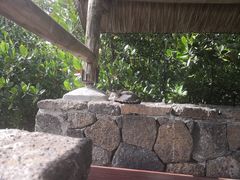 -塞尔夫岛