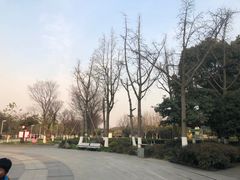 -白塘生态植物园