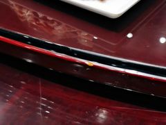 阿西娅手抓羊肉-阿西娅食府(中关村店)