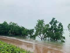 -宝安西湾红树林湿地公园