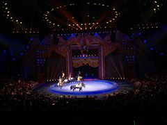 -珠海横琴长隆《卡卡虎奇遇记》