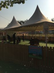 -萌宠亲子动物乐园(槐房万达店)