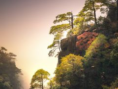 -黄山风景区