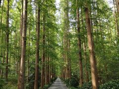 -上海怡沁园度假酒店