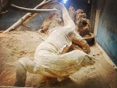 -石家庄市动物园