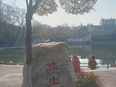-莲湖公园
