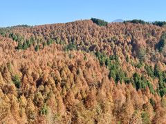 -山王坪喀斯特国家生态公园