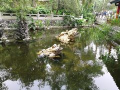 -国恩寺