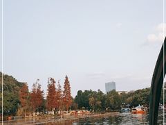 -桂湖森林公园
