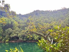 -鼎湖山风景区