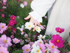 -花开海上生态园