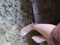 -明谷行馆·温泉