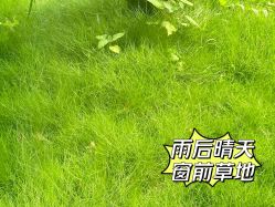 -金芙美月子中心(财富别墅店)