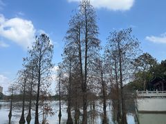 -顺峰山公园