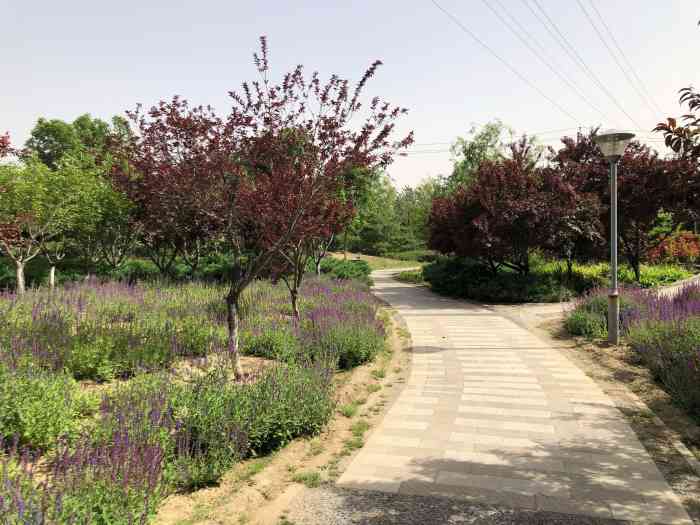 石榴庄公园-"石榴庄公园位于丰台区南苑地区.是石榴庄村.