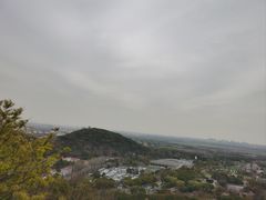 -上海佘山国家森林公园西佘山园