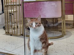 -Dal Cuore 达可芮冰淇淋(陕西北路店)