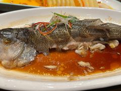 -东口码头·烧鸽子·鱼头泡饼·地方菜(金鹰悦城店)