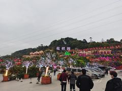 -枇杷园食为鲜火锅(南山店)
