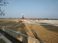 -漩门湾国家湿地公园