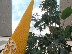 -野人先生Gelato(上海长宁龙之梦店)