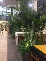 -安利上海体验馆