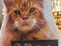 -藏猫猫咖啡主题馆(中央大道店)