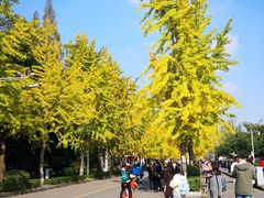 -四川大学(望江校区)