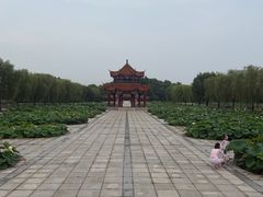 -南戴河国际娱乐中心