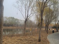 -东郊湿地公园