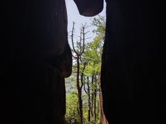-玉苍山国家森林公园
