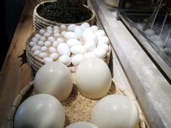 -鸽子窝(宋庄店)
