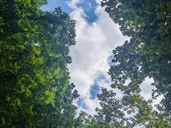-本溪汤沟绿石谷森林公园