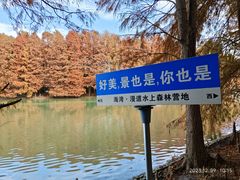 -上海海湾国家森林公园